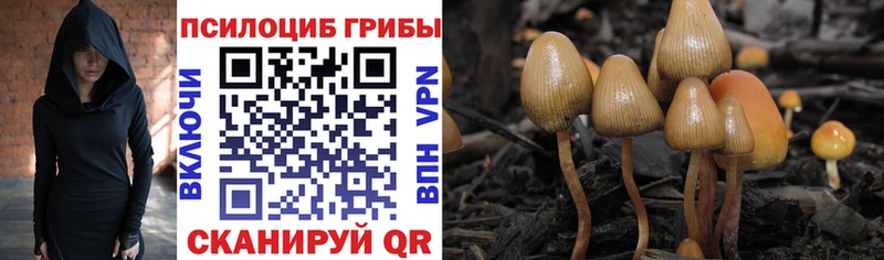Галлюциногенные грибы мухоморы  где купить наркоту  сайты даркнета официальный сайт  Гаврилов-Ям 